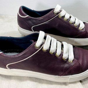 Tommy Hilfiger Maroon Low Sneakers
